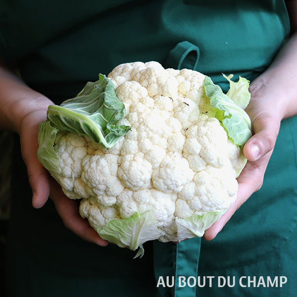 Chou-fleur (entier)