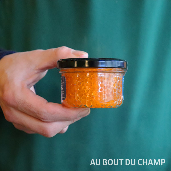 Œufs de truite