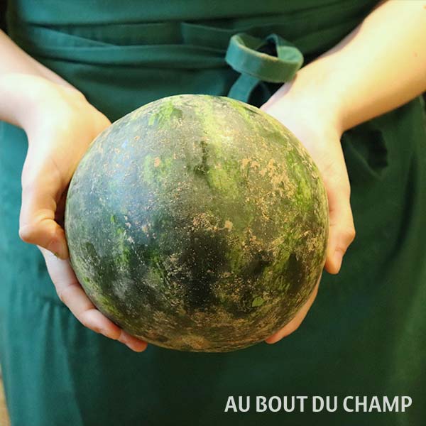 Pastèque Bio