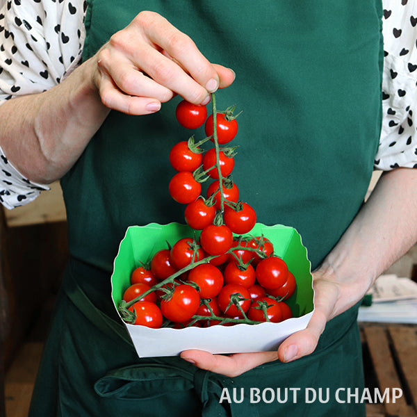 Tomate Cerise