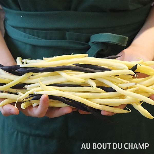 Haricots beurre