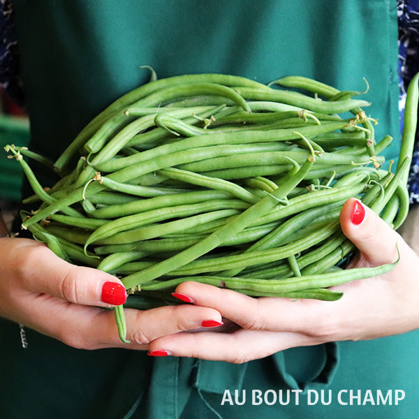 Haricots verts