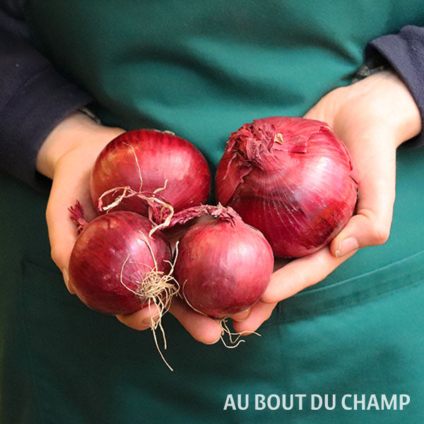 Oignon Rouge