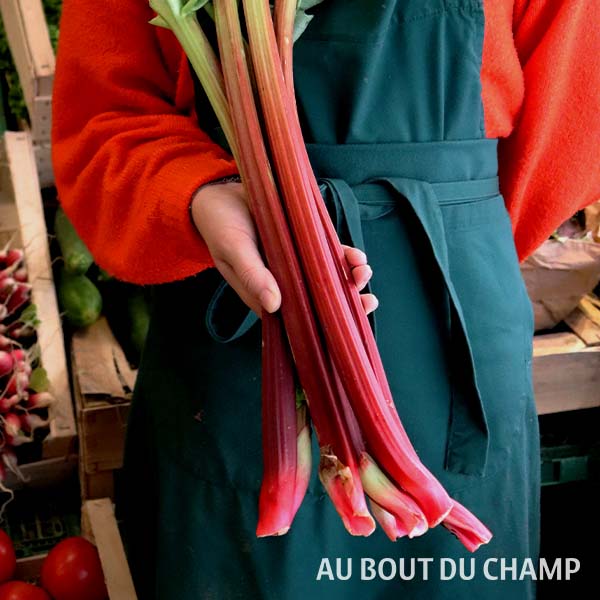 Rhubarbe