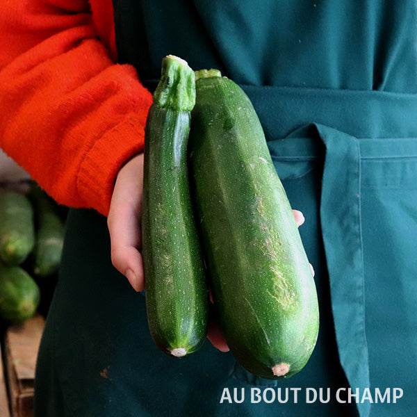 Courgette Verte