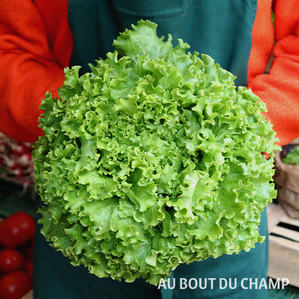 Salade