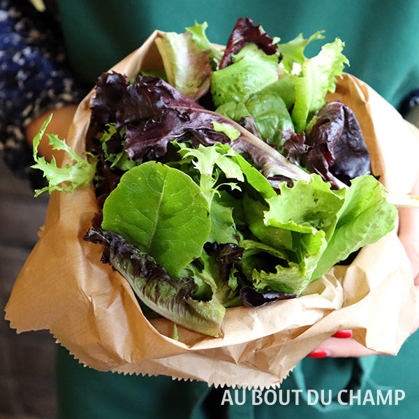 Salade Mesclun